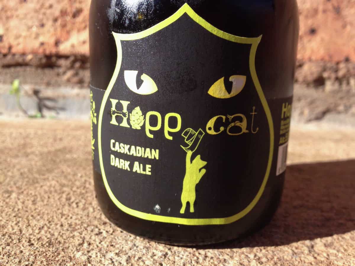 hoppy-cat-1