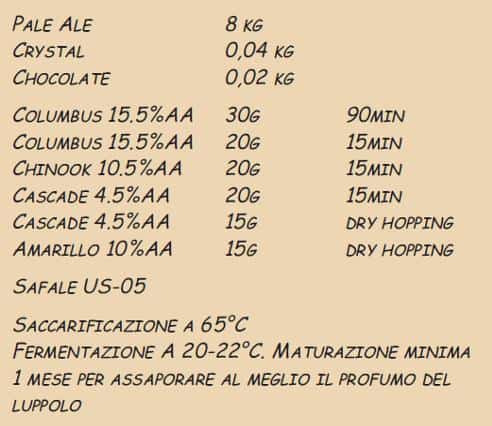 ipa usa ricetta