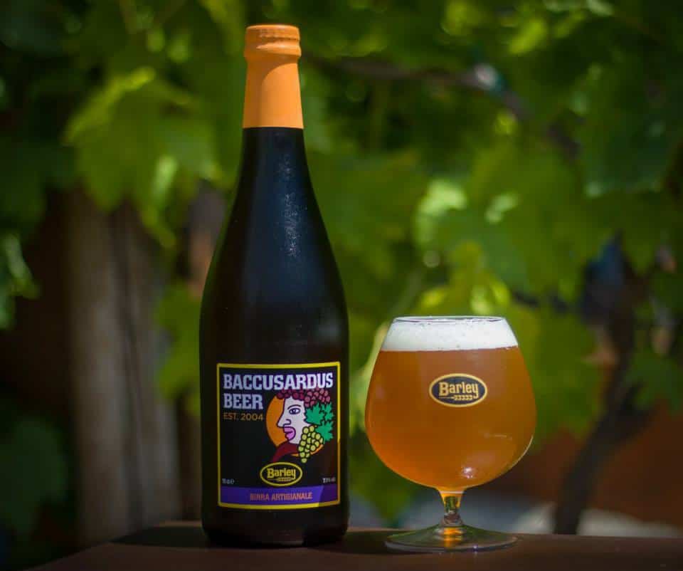 baccusardus
