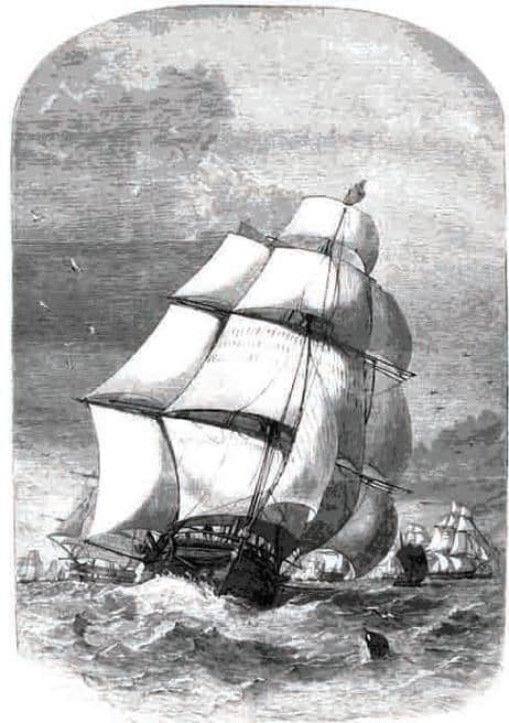 veliero
