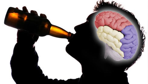 Taste-of-Beer-triggers-Male-Brain