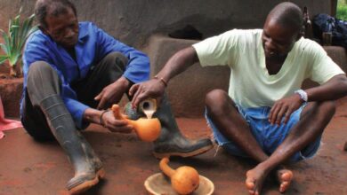 sud africa2
