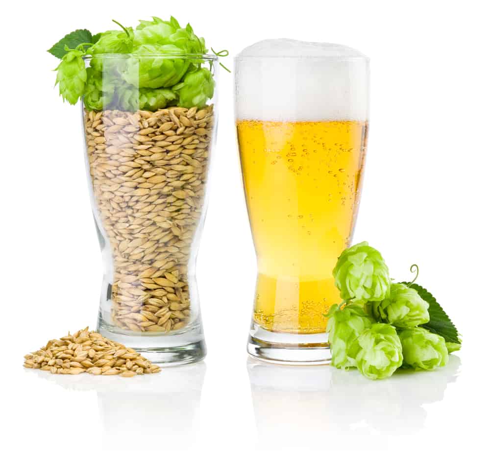 luppolo ingredienti