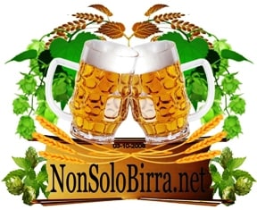 logo_nonsolobirra_320x320