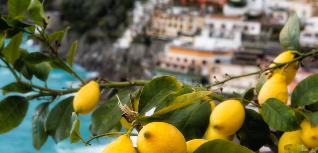limoni