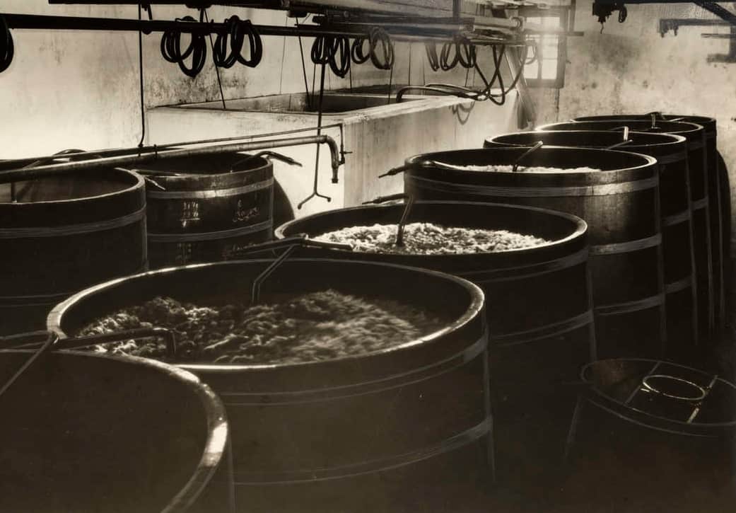 storia birra olandese birreria