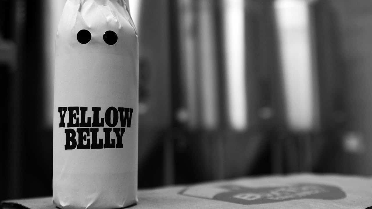 yellow-belly