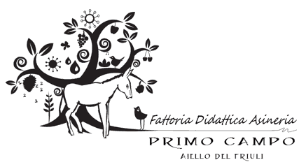 primocampo logo