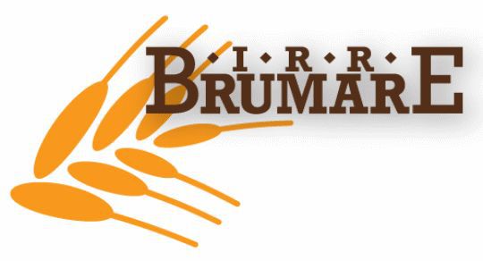 logo brumare gif