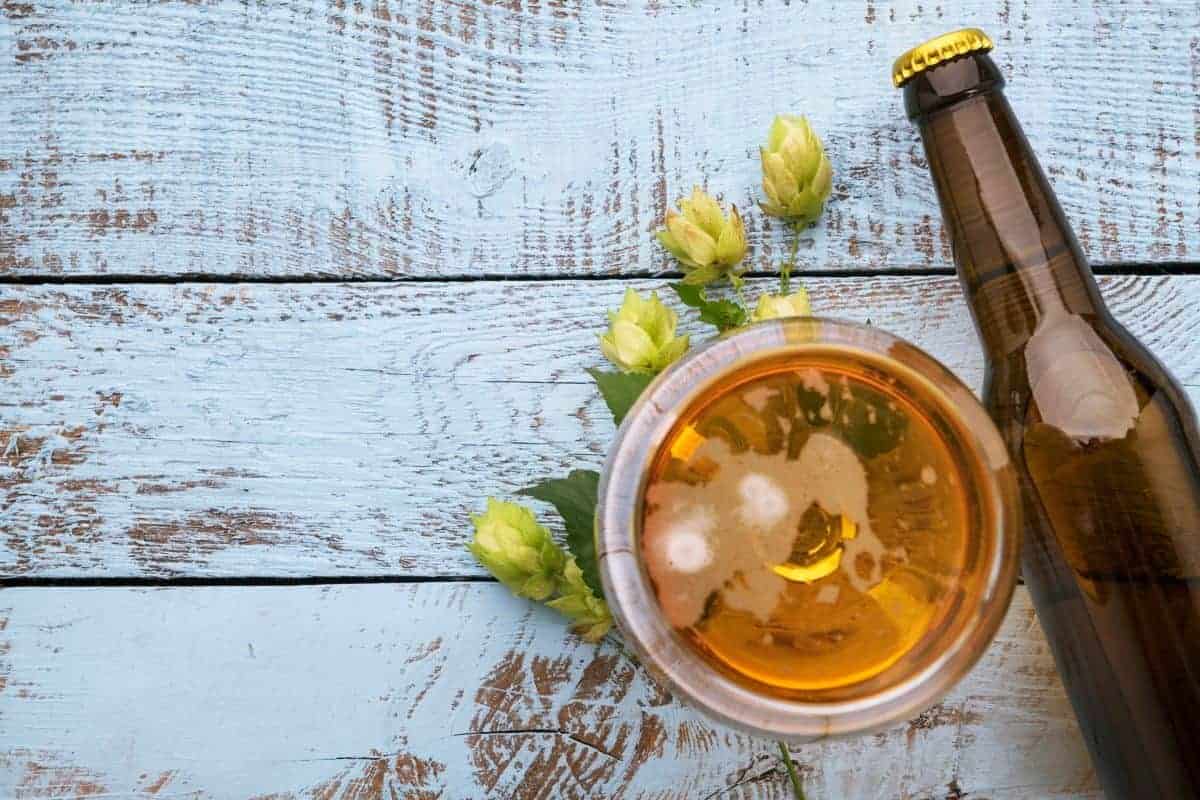 birra luppolo bottiglia