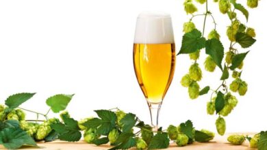pils luppolo