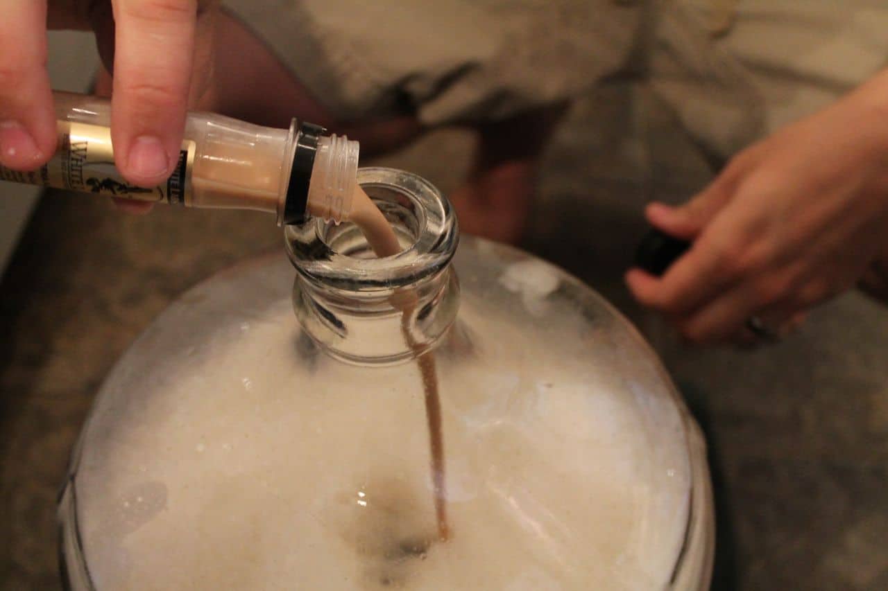 fermentazione