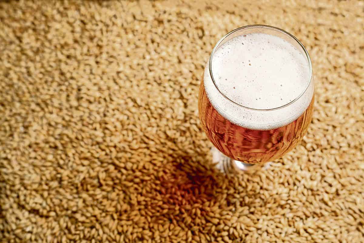 L'importanza dei malti e la loro influenza nella degustazione della birra