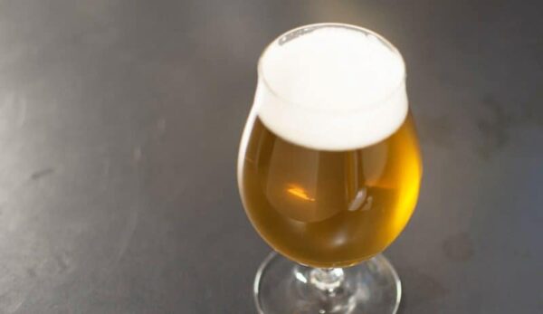 tulip bicchiere ipa