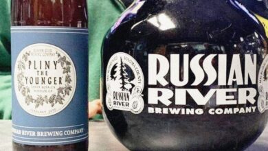 Pliny the Younger