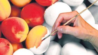 frutta artficiale