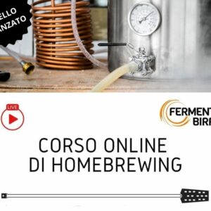 Corso online di homebrewing: livello avanzato (All-Grain)