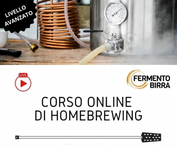 Corso online di homebrewing: livello avanzato (All-Grain)