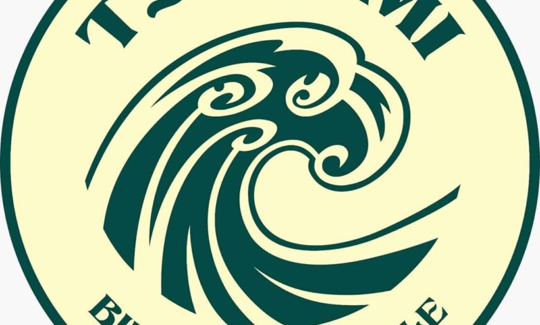 tsunami logo